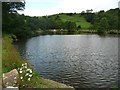 SD9221 : Millpond at Ramsden Wood, Walsden by Humphrey Bolton
