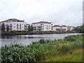 Modern apartments beside the Thames below Chertsey Bridge