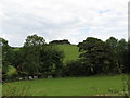 The Mound at Pipers Fort