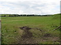 Reclaimed wetlands to the north of the Farranfad Road