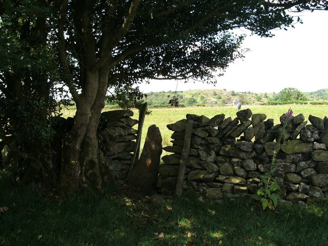Stile in wall near Thompson Wood