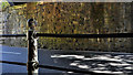 J2765 : Old railings, Hilden by Albert Bridge