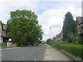 Pemberton Drive - Easby Road