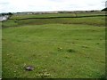 Hillside field near Flappit Spring