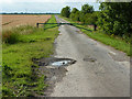 North Carlton fen road