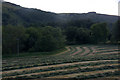 Hayfield at Ardlebank, Strathardle