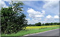 Fields and railway near Witham (2)