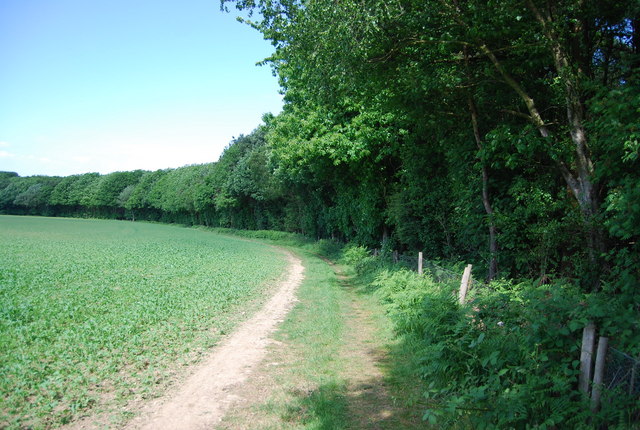 The Edge of Leybourne Wood (Mereworth... © N Chadwick cc-by-sa/2.0 ...