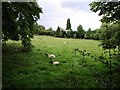 Field adjacent to Hailes Abbey, looking towards Hailes House