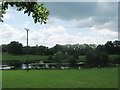 Pond near Butcherswood Wood