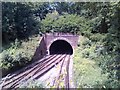 View of Crystal Palace Tunnel from the bridge outside the station