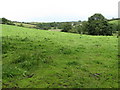 Undulating country south of Nutgrove Road