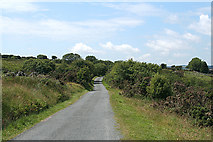 SX6572 : Dartmoor Forest: lane to Sherberton by Martin Bodman