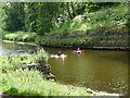 Canoes on the River Wansbeck