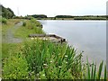 Fishing stages in Queen Elizabeth Country Park