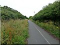 National Cycle Network route 1 at North Seaton