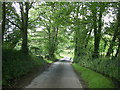 Country road near Wolfscastle