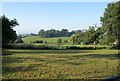 Towards Buddle Hill