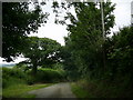 Passing place on a single track road