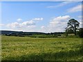 Distant view of High Staples Farm