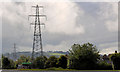 Pylon and power lines, east Belfast (12)