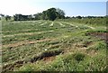 ST0317 : Mown grass field near Great Ridge Farm by Derek Harper