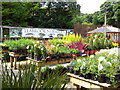 "Leabrook Nurseries" Burnley Road, Rawtenstall, Rossendale, Lancashire BB4 8HH