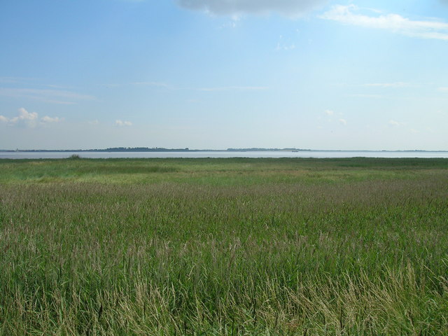 Humber marshland