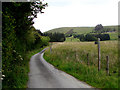 Narrow lane to Pant-y-rhedin farm