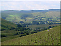 Rough grazing above Cwm Brithgwm