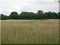 Farmland, South End