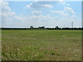 Farmland off College Road