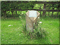 Milestone and commemorative plaque