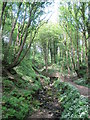 Footbridge in Fairy Glen