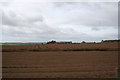 Across Fields to Upper Dysart