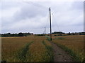 Footpath to Hill Farm