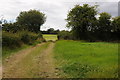 SO9157 : Field entrance and footpath off Netherwood Lane by Philip Halling
