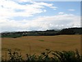 Cropland west of Drumgooland Road