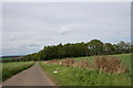 Fields and Trees by Gardyne