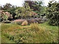TQ5509 : Grasses and shrubs - Michelham Priory by Paul Gillett
