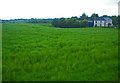 H6629 : Irish country home beside high grass field by C Michael Hogan