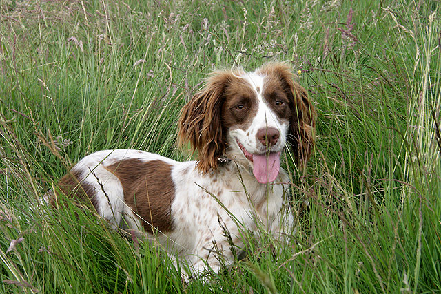 Time for a breather © Walter Baxter :: Geograph Britain and Ireland