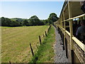 SN6280 : Vale of Rheidol Railway: between Capel Bangor and Glanrafon by Gareth James