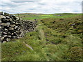 Grassy Track below Dean Moss