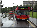 Buses in Roehampton