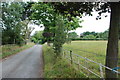 Lane to Butterhill House and Farm