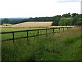 SU3926 : View over fields near Upper Slackstead by David Martin