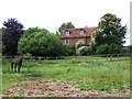 SU3825 : House and horse, Hawkes Farm by David Martin