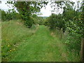 Part of the Landsker Borderlands Trail near Llanboidy