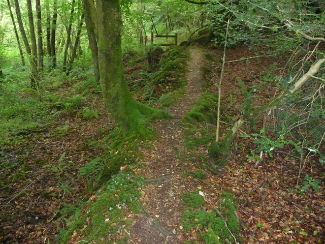 Part of the Landsker Borderlands Trail... © Jeremy Bolwell cc-by-sa/2.0 ...